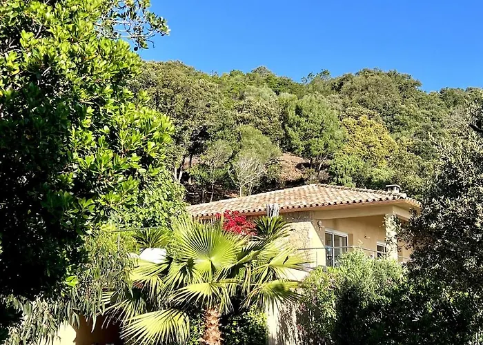 With Pool, Sea View, Ste Lucie De Porto-vecchio 别墅 孔卡