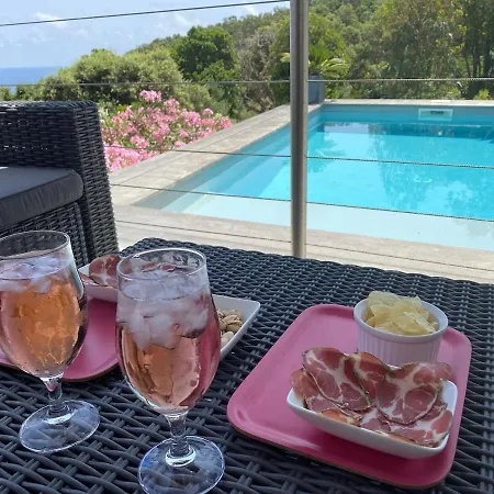 Villa With Pool, Sea View, Ste Lucie De Porto-vecchio Conca